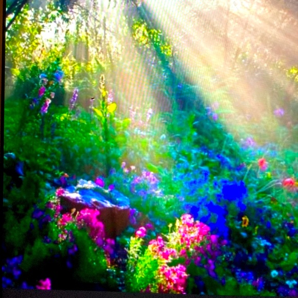 Meet your Posher, Gloria - Picture 11 of 13